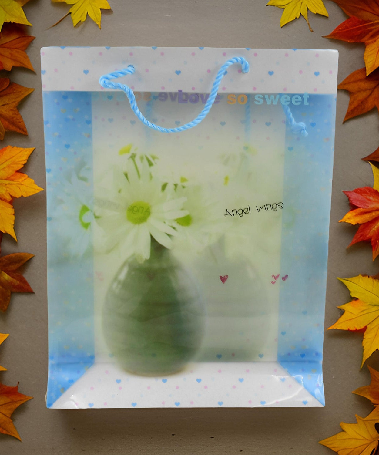 Shopping Gift Bag