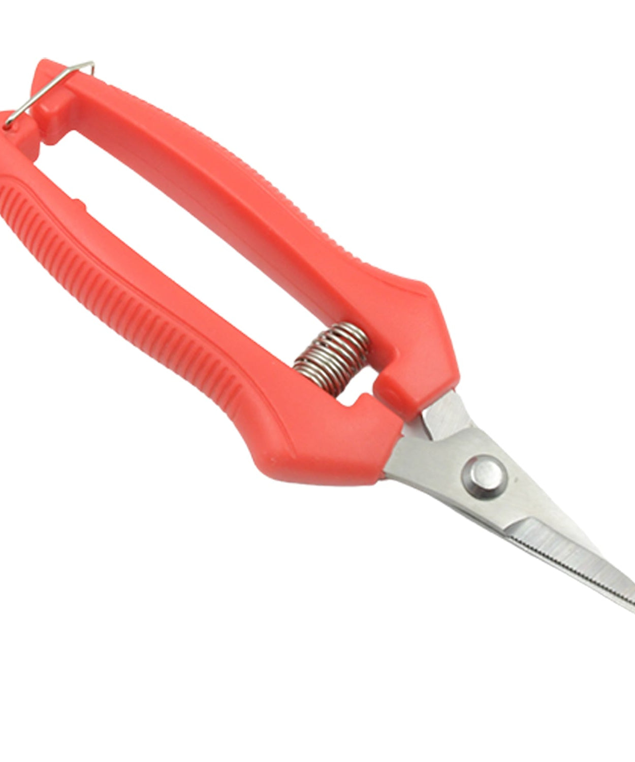 Sturdy trimming scissors with stainless steel blades, for gardening and plant care.