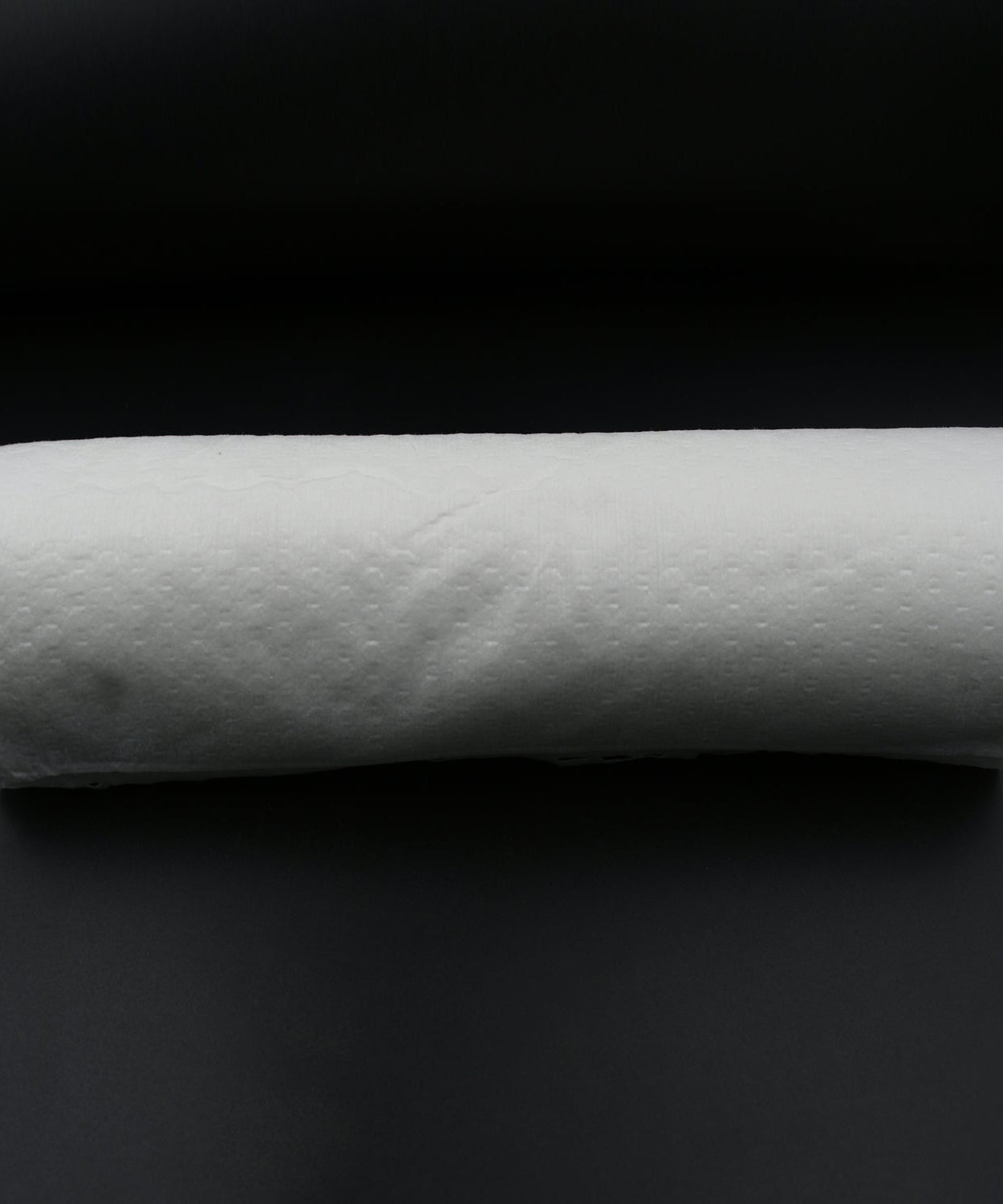 Printed Kitchen Tissue Roll for Cleaning (30 Sheets, Oil-Absorbing)
