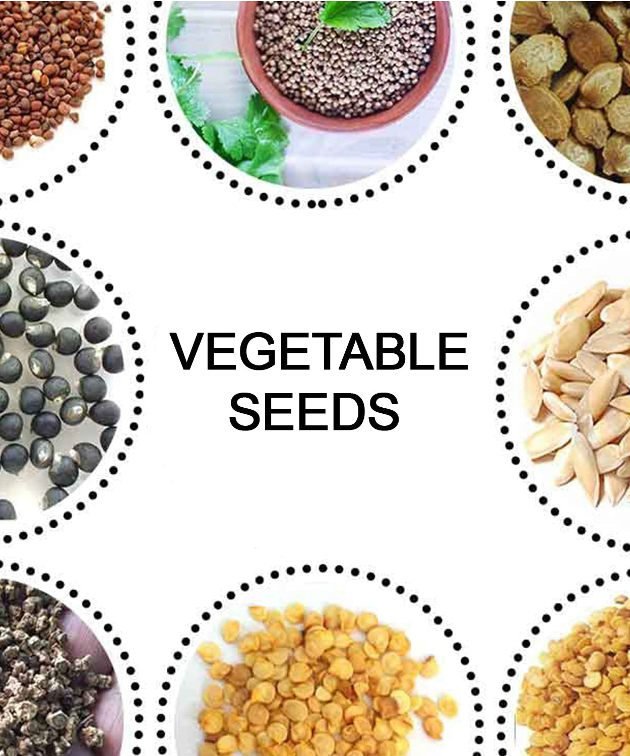 15 Varieties of Vegetable Seeds Combo (1 Pkt. / 15 Varieties)