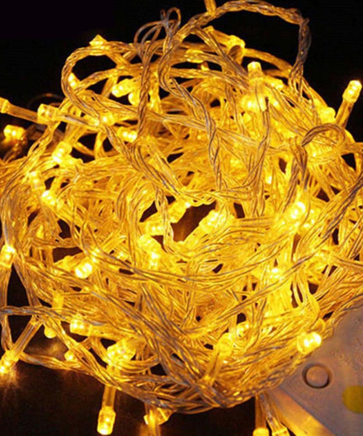 Glowing lights wrapped around plants