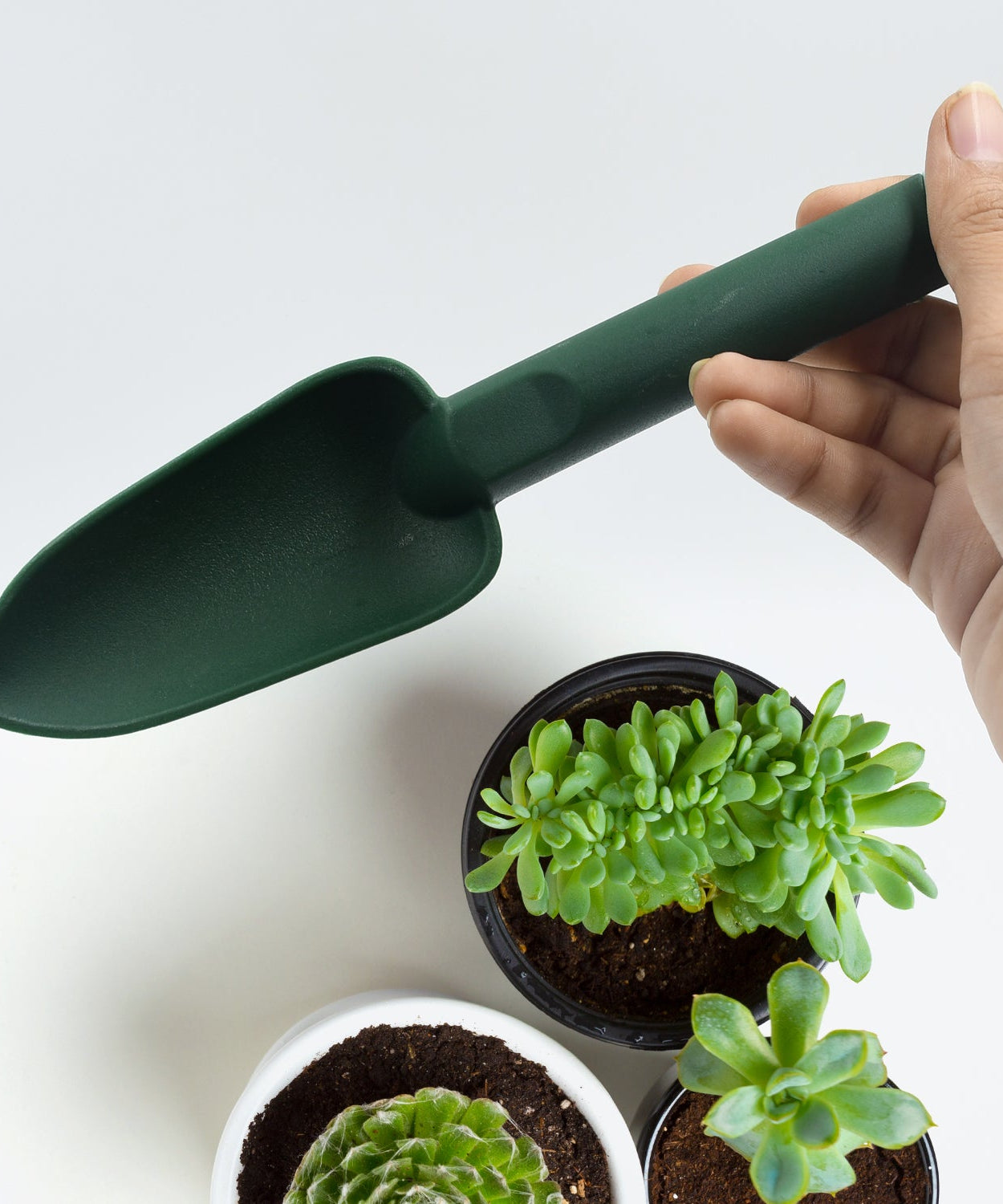 Mini heavy-duty gardening tool, hand trowel for digging and planting.