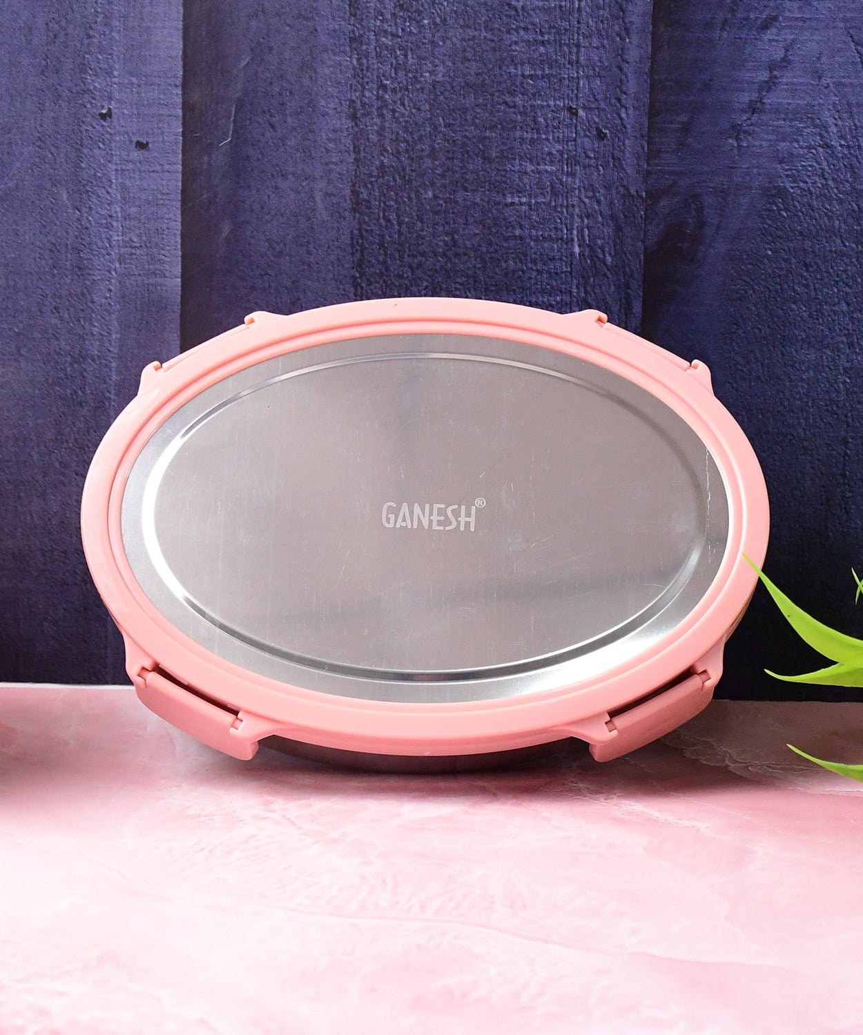 Ganesh Classy 2-Piece Stainless Steel Lunch Box Set