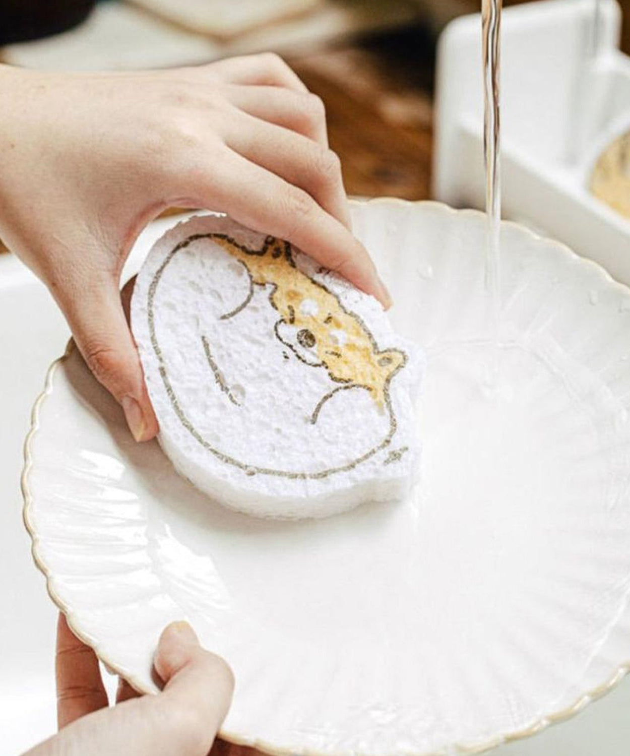 Absorbing scouring pad