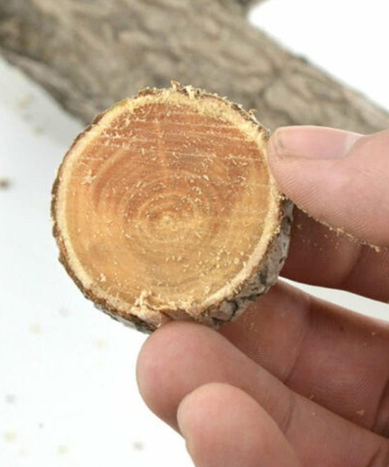 Portable Hand Saw High Strength Saw Small hand saw (34 Cm Long / 1 Pc)