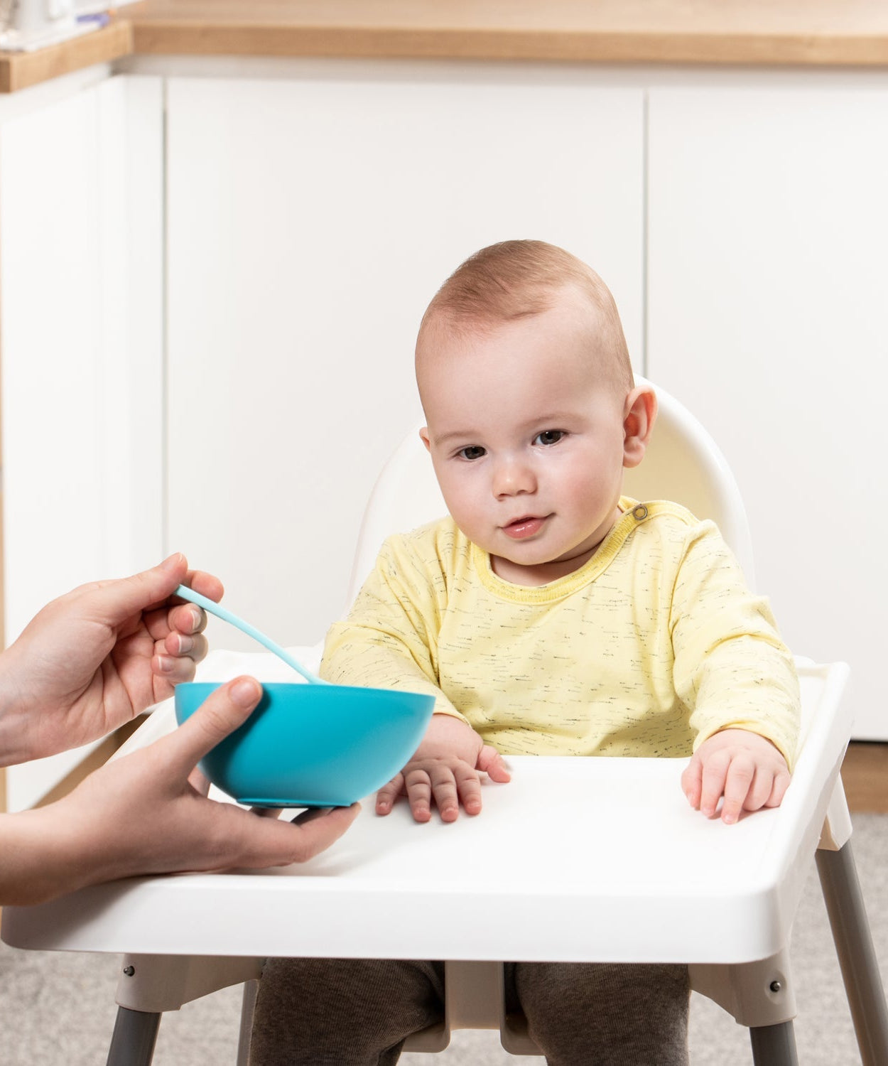 Soup bowl collection