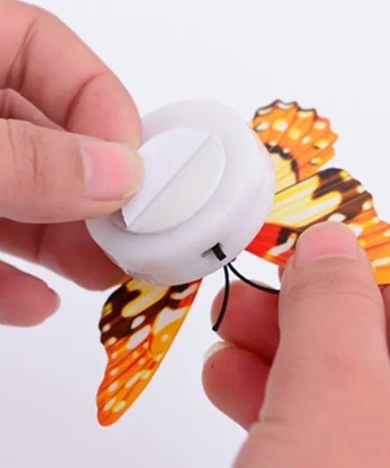 Elegant butterfly night lamp with 3D effect.