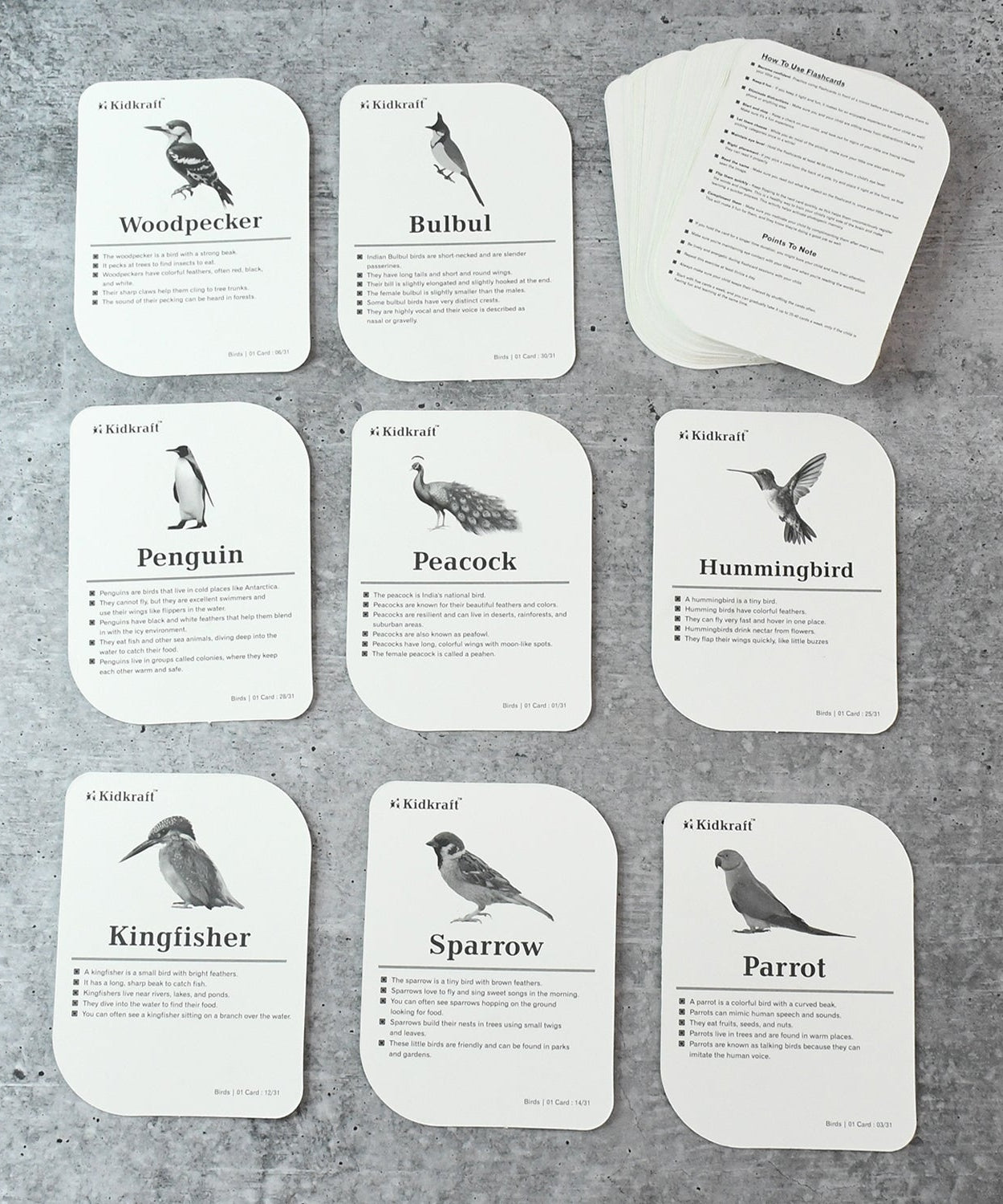 KidKraft Early Learner Educational Flashcards – 32 Birds