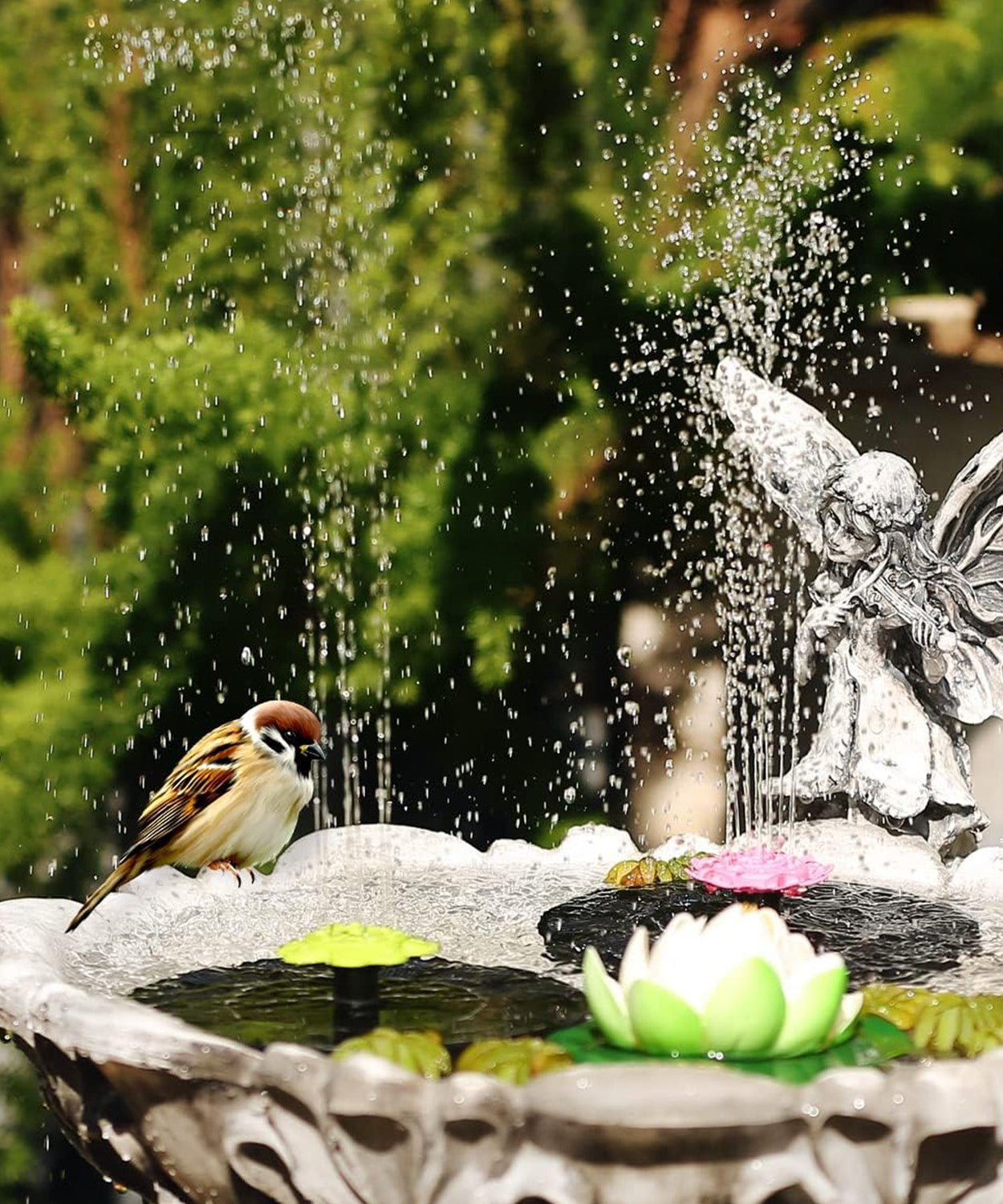 Solar Water Fountain Pump (1 Set)