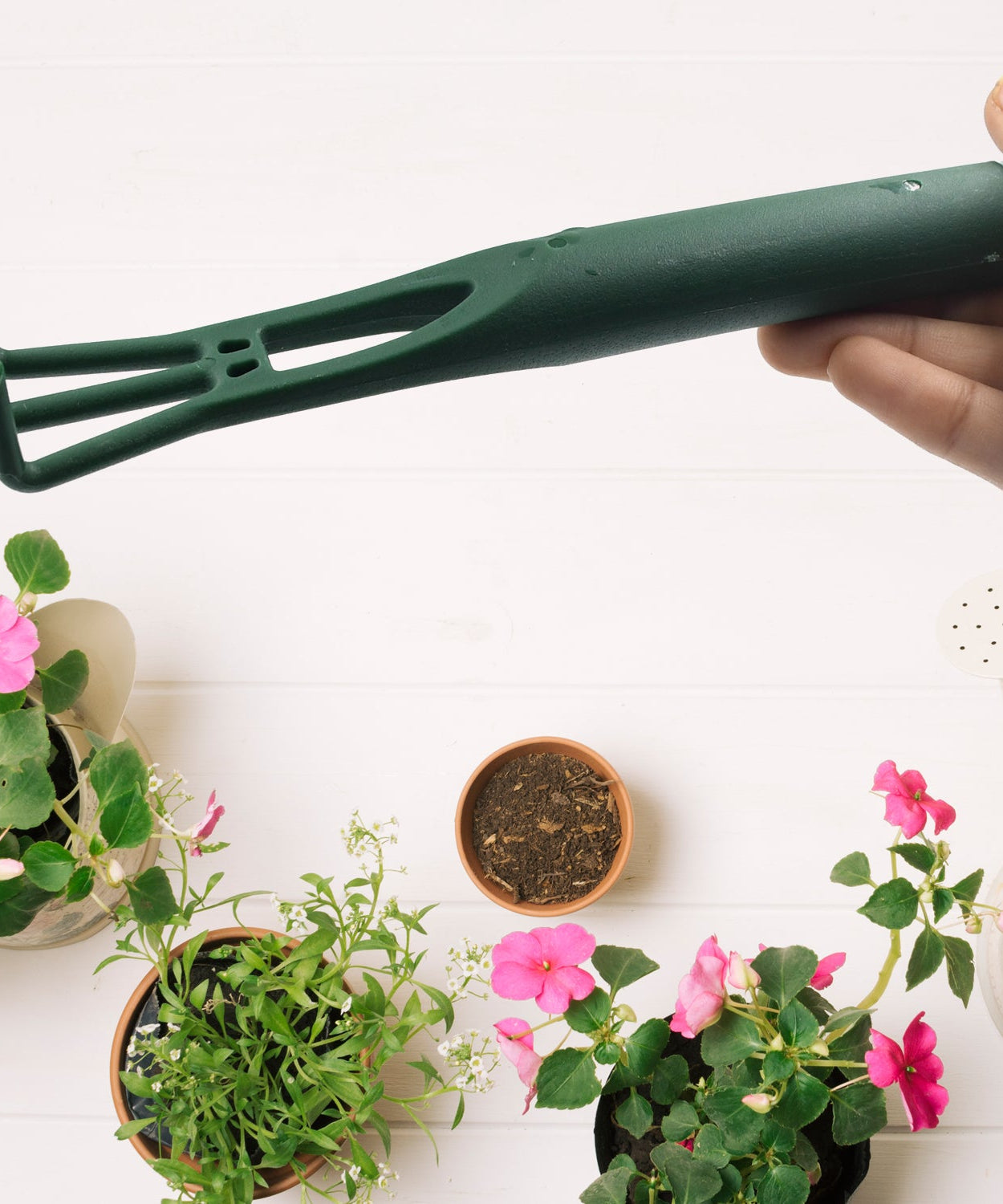 Small heavy-duty garden trowel, hand tool for planting and digging.