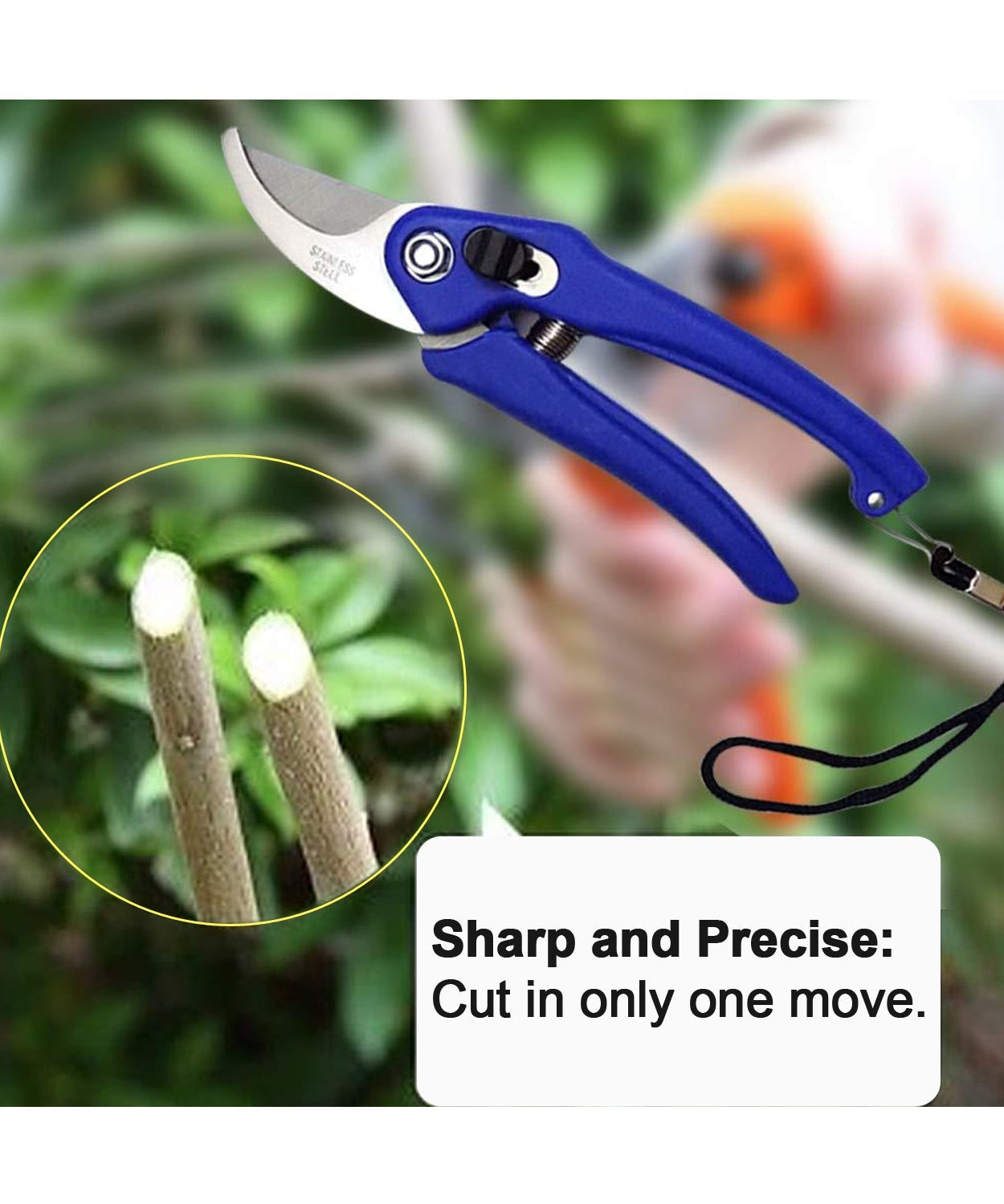 Multi-purpose pruners for garden use, ideal for leaves and branches