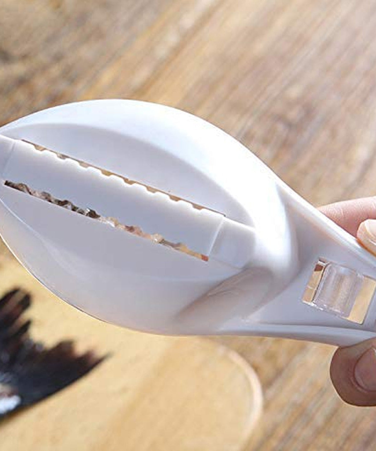 Fish Scale Peeler