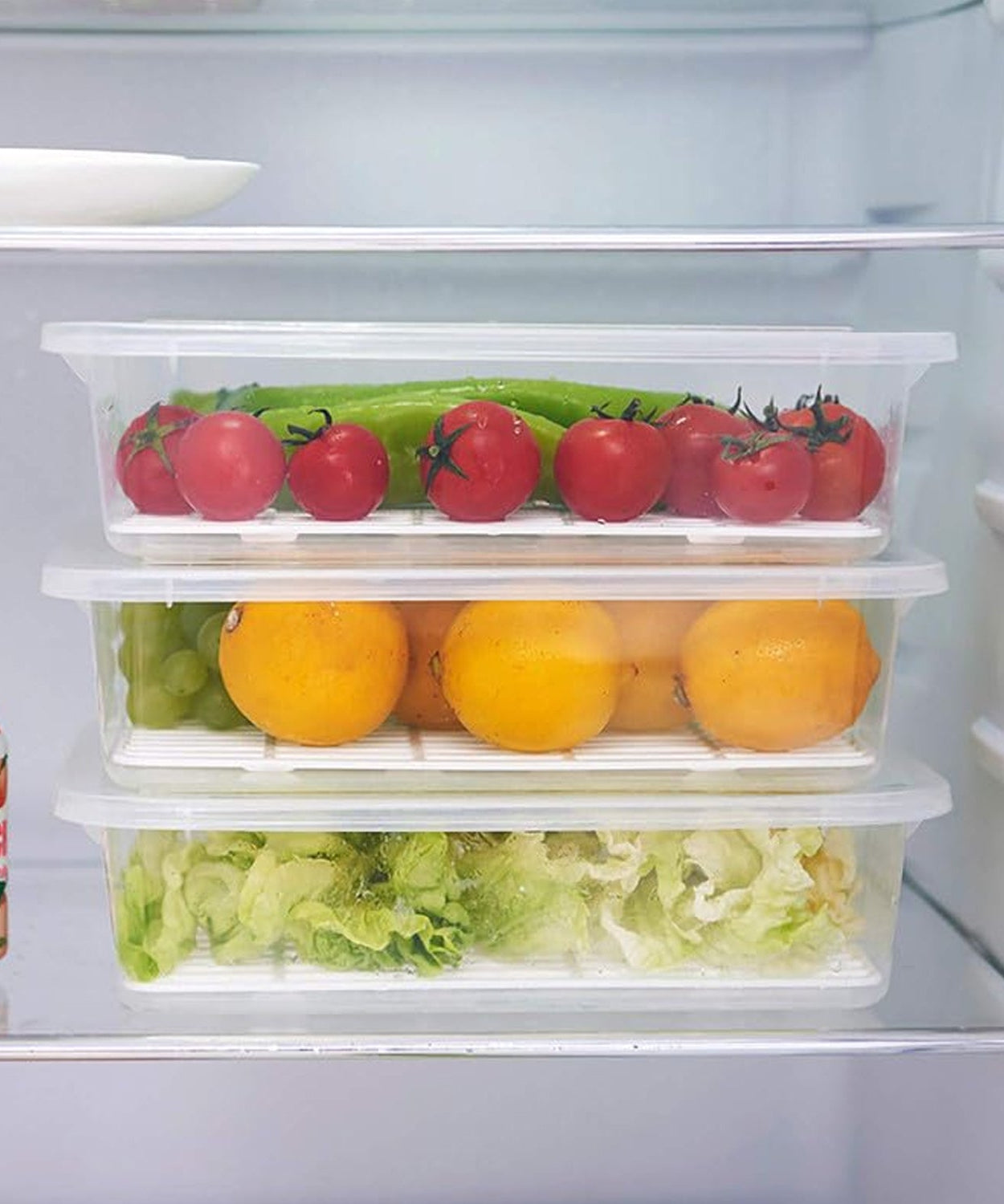 Plastic Food Storage Containers with Removable Drain Tray and Lid (3 Pcs Set)