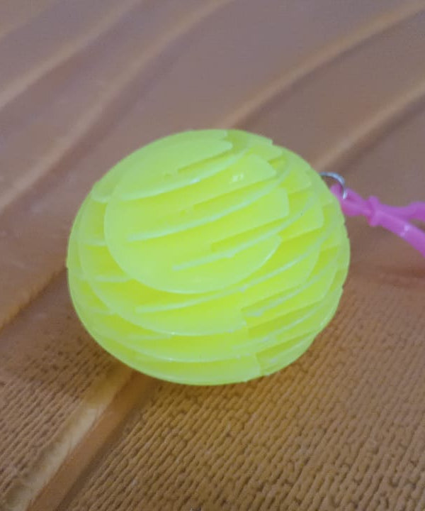 Flexible plastic Worm Fidget Toy (1 Pc)