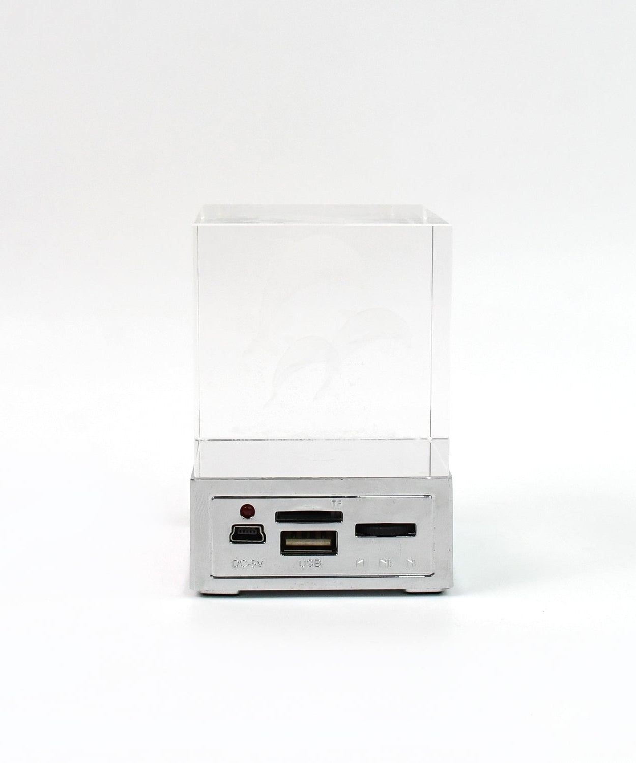 Mystic Dolphin Light