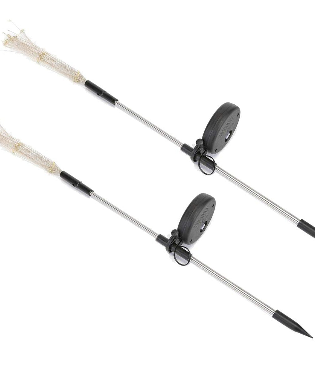 Luminous Garden Rays