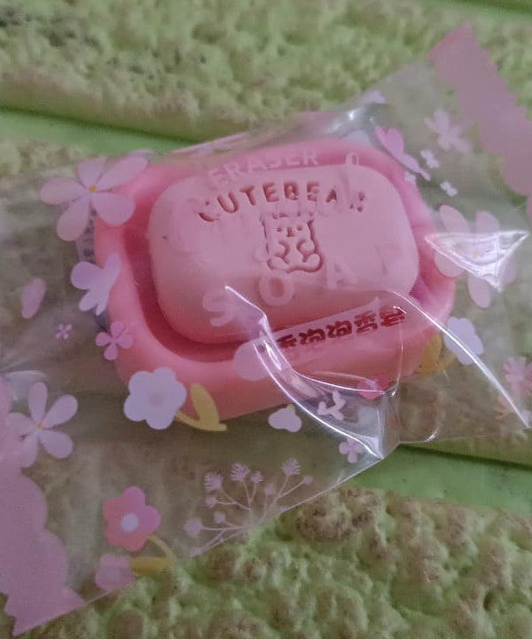 Cute Soap Shaped Erasers With Plastic Case (1 Pc / With Case)