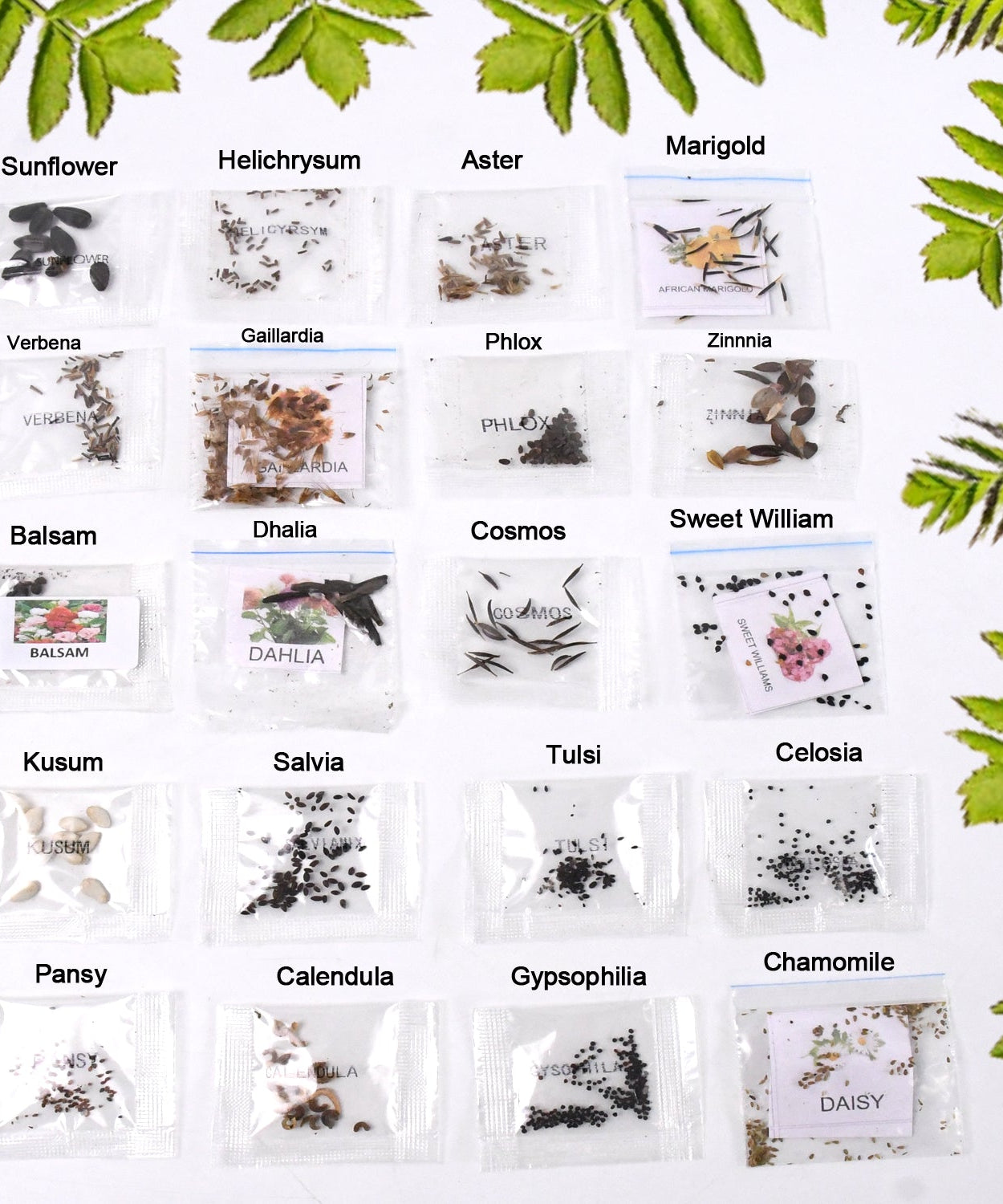 Blossom Haven Seed Mix