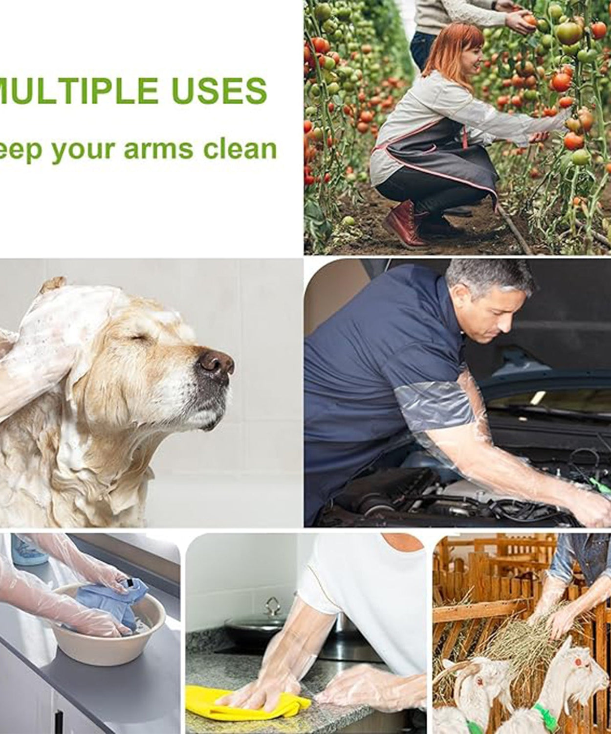 Food Safe Prep Gloves