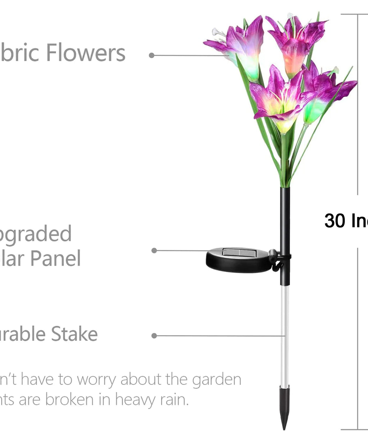 Solar lily stake lights, night view in outdoor setting