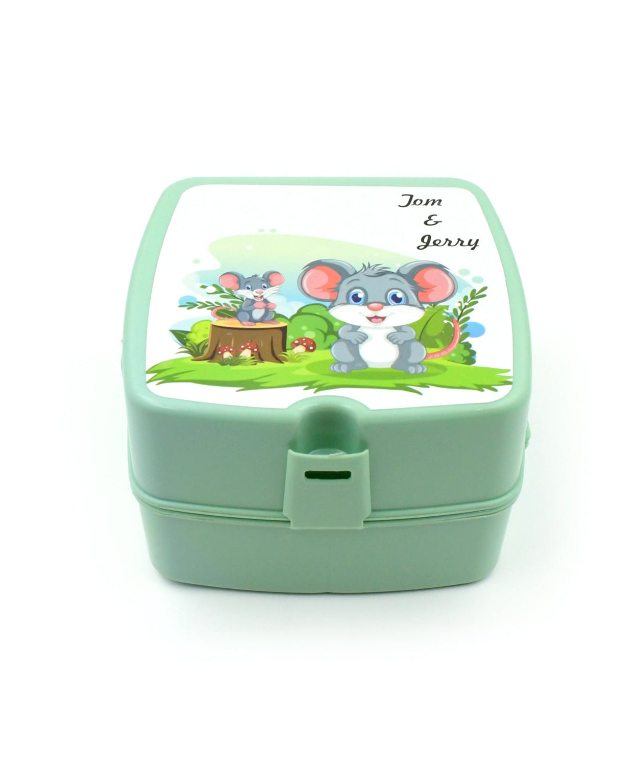 Square lunch box with 4 sections and spoon