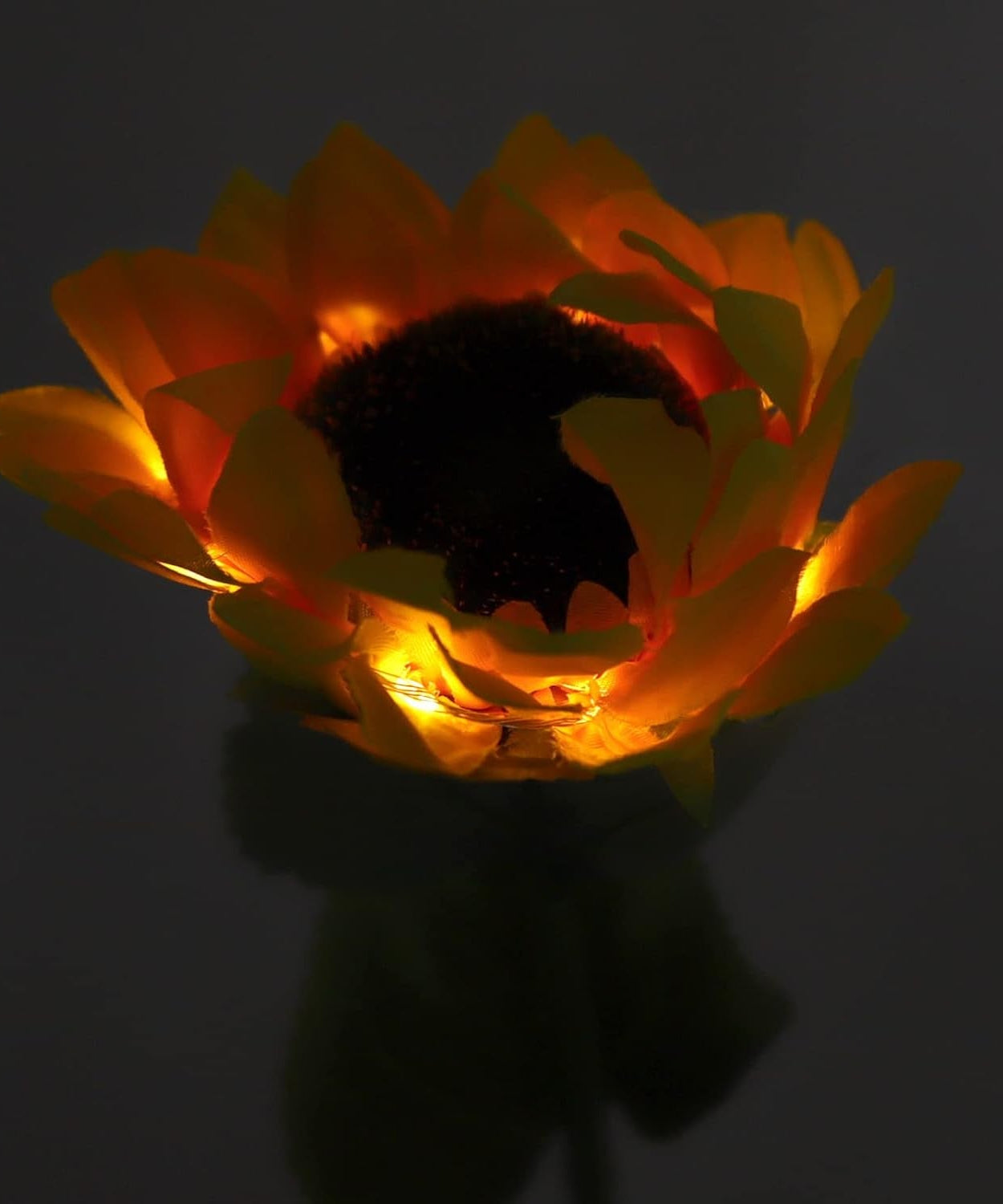 Ever Bright Sunflower