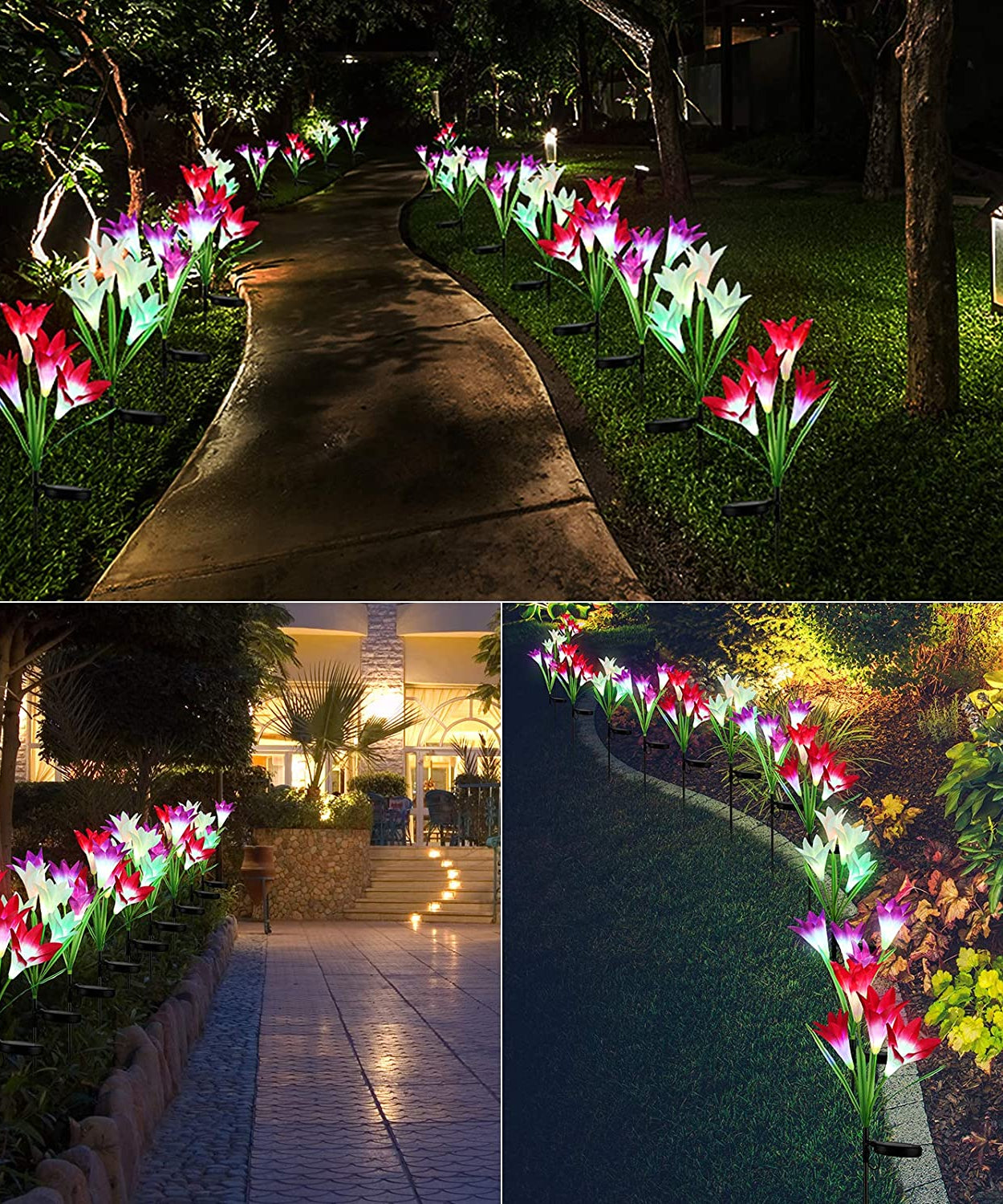 Outdoor solar lily lights, setup in garden, illuminated
