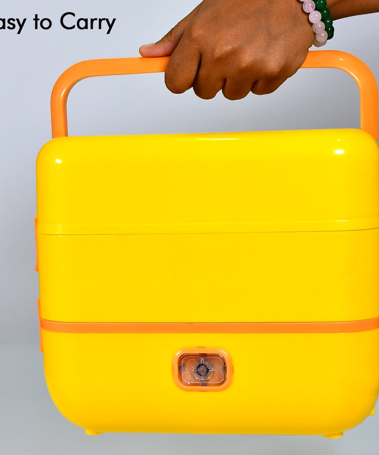 2-layer lunch box with removable steel containers