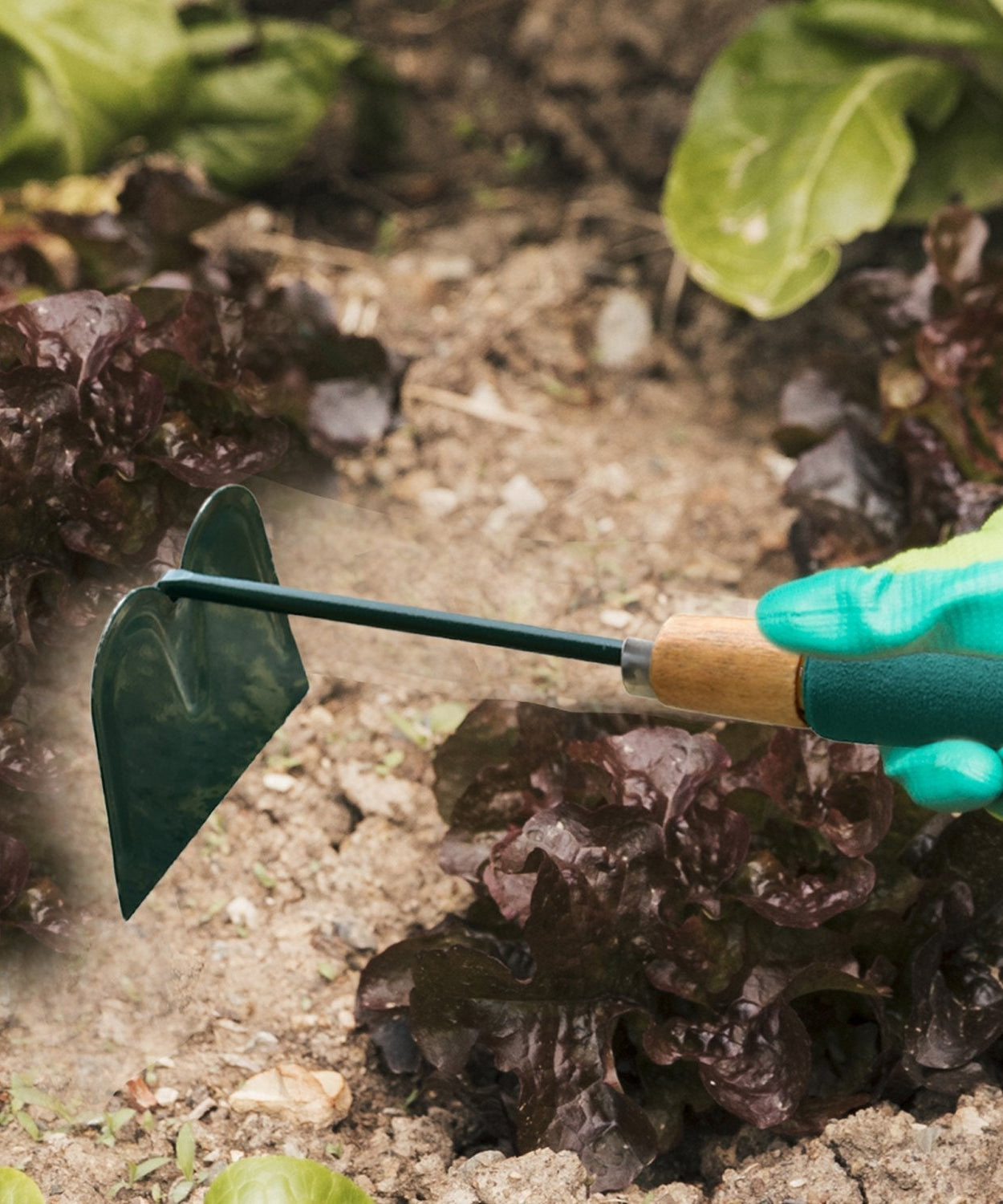 Hoe tool with comfortable grip, ideal for gardening tasks