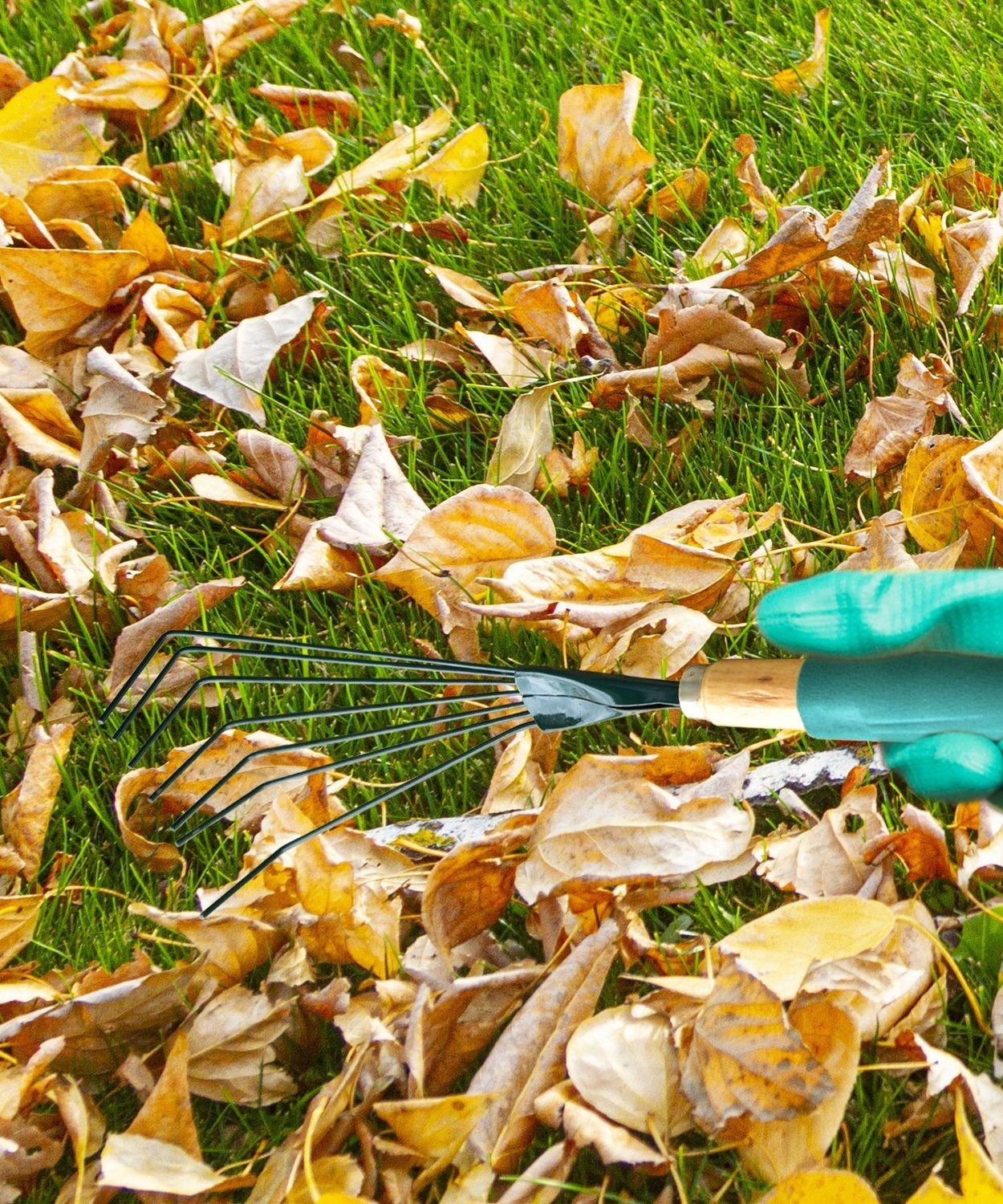 Different angles of stainless steel garden rake