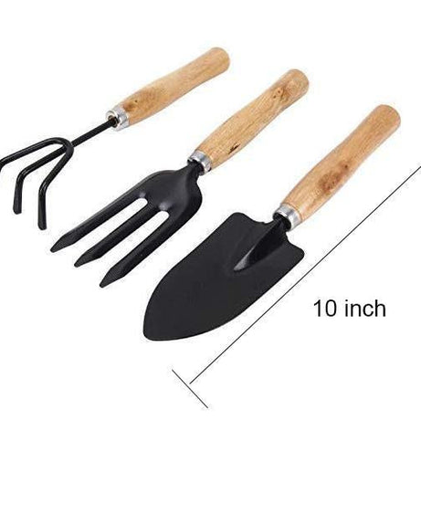 Small trowel, hand fork, cultivator
