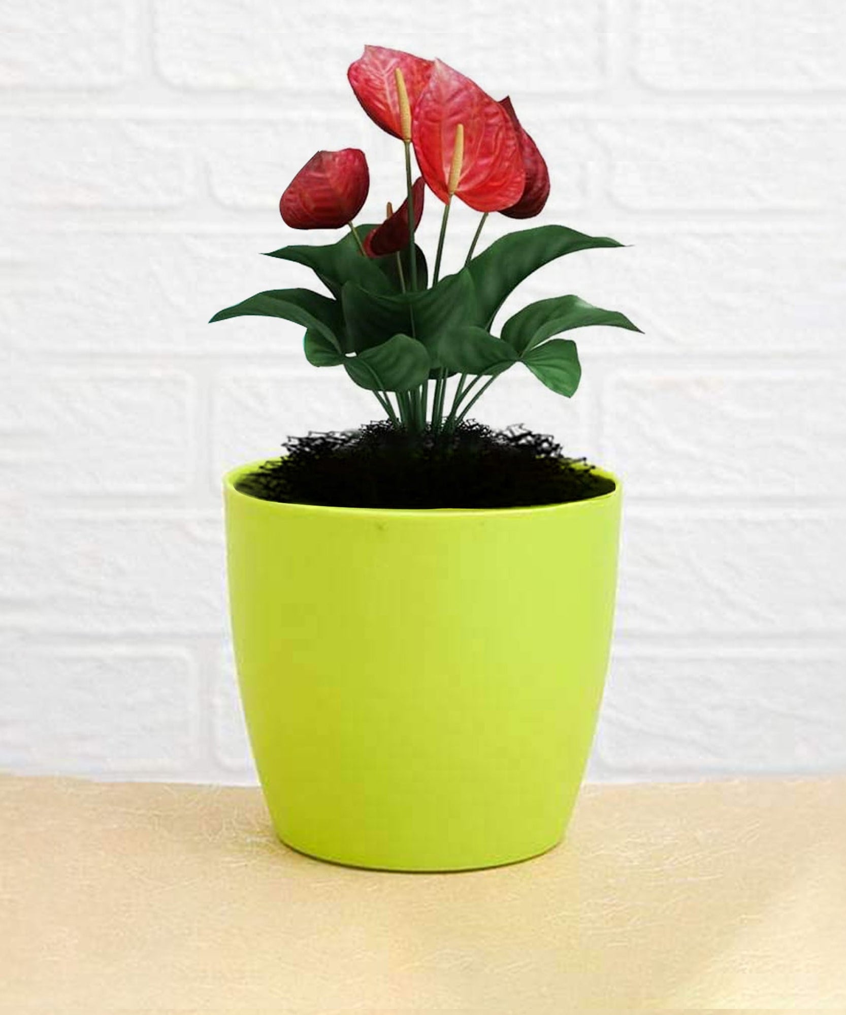 Plastic round flower pots for indoor/outdoor use