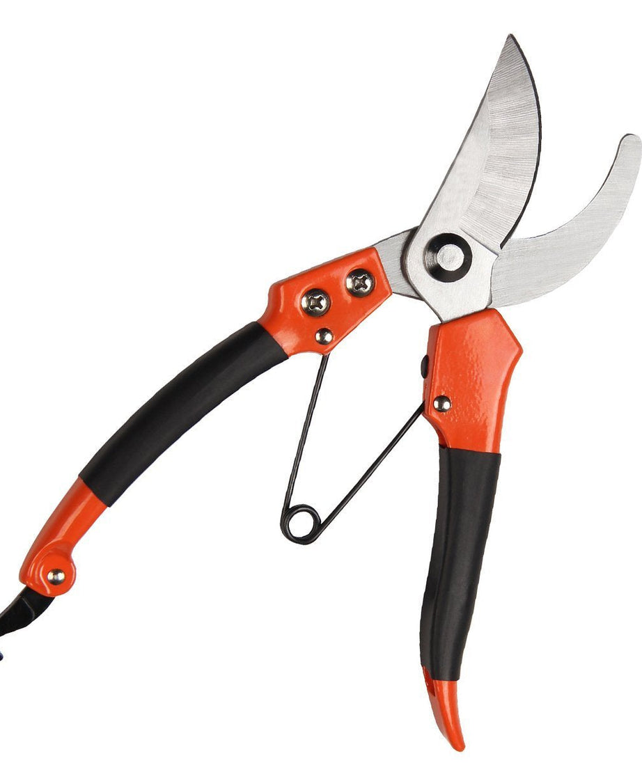 Sharp garden shears for pruning and trimming plants.