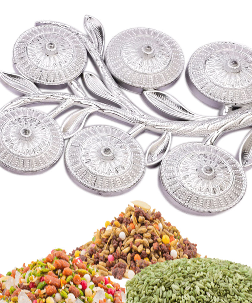 6-compartment serving tray