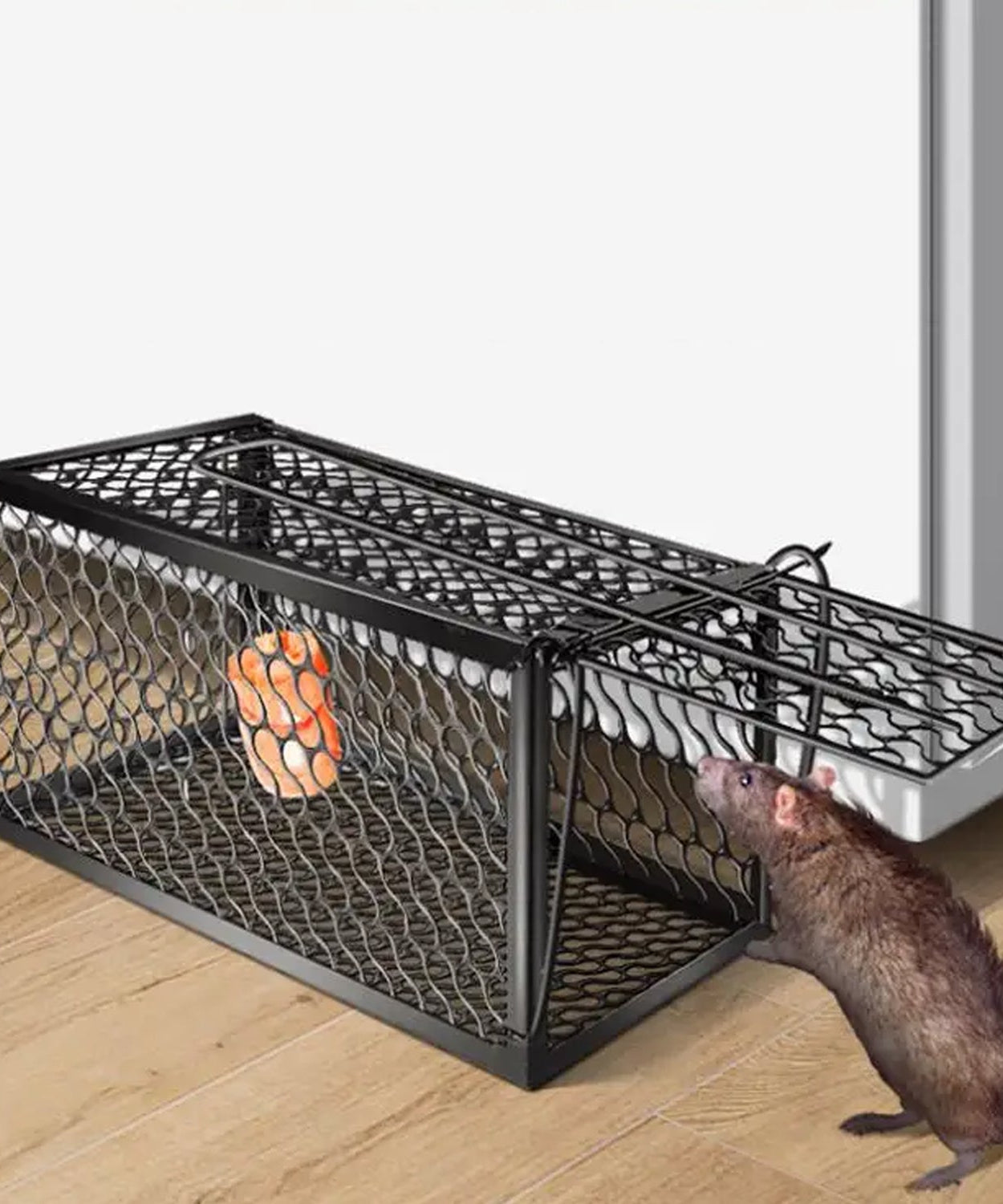 Foldable live animal trap cage.