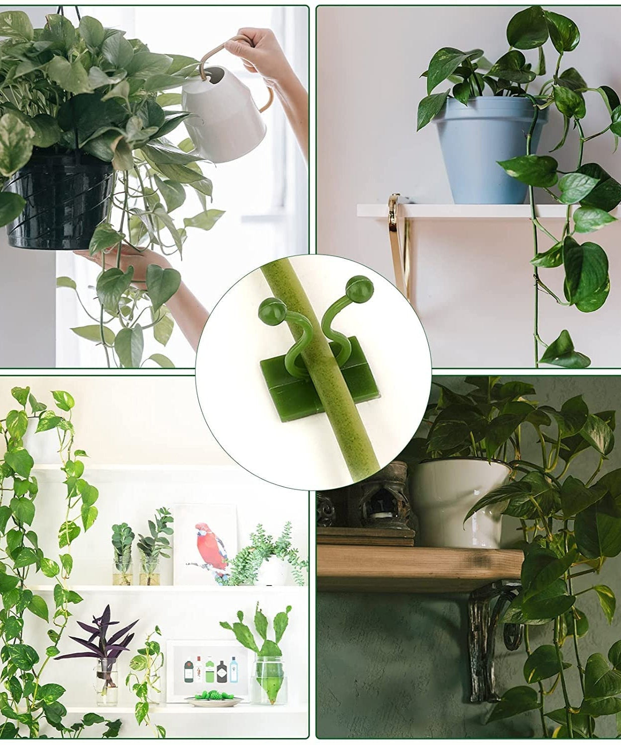 Self-adhesive plant clips