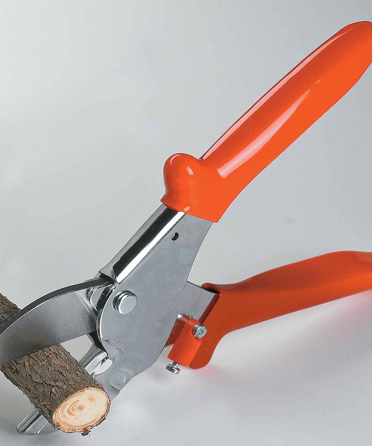 Professional garden scissors with sharp blade