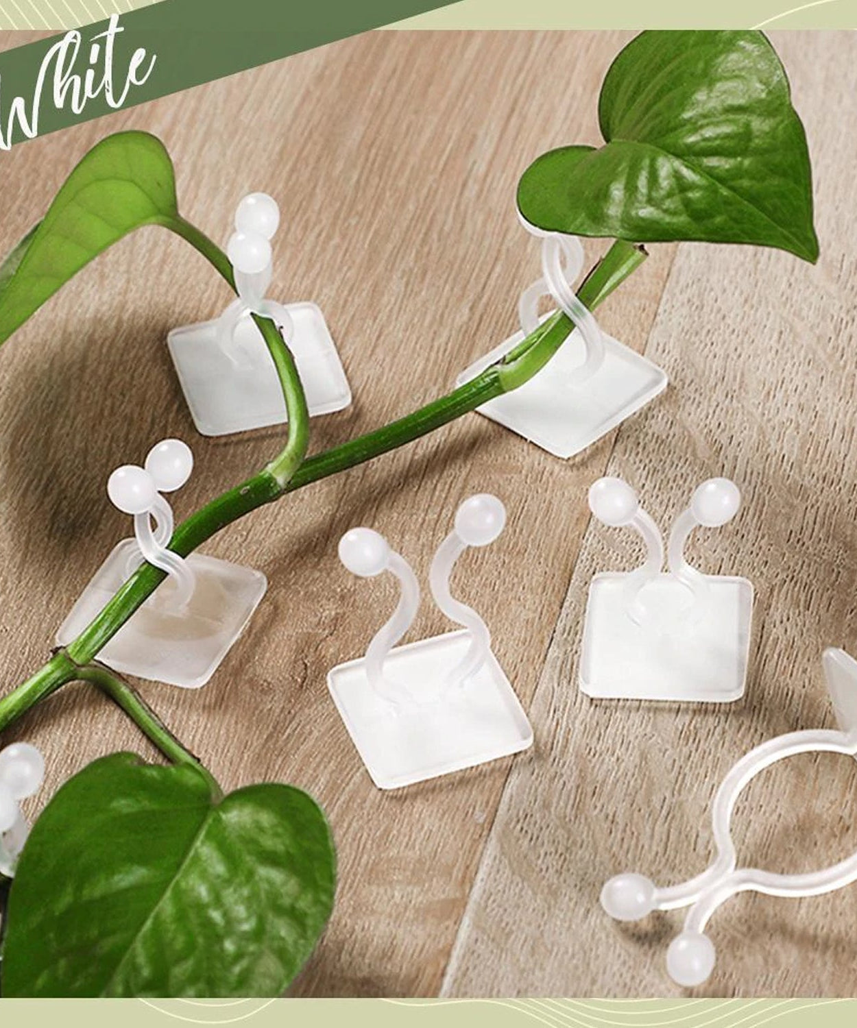 Reusable plant clips set for wall training and supporting plants