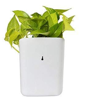 Hanging planter pot, perfect for small spaces.