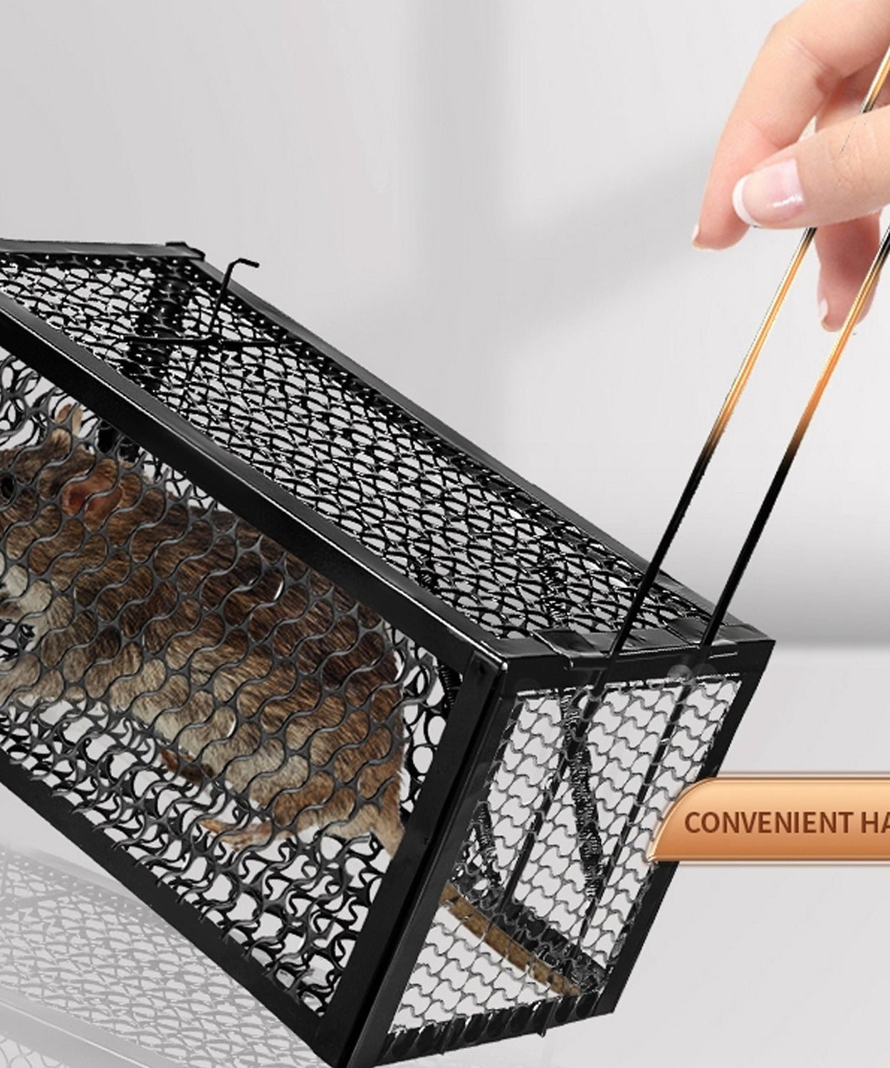 Live catch cage for mice and squirrels.