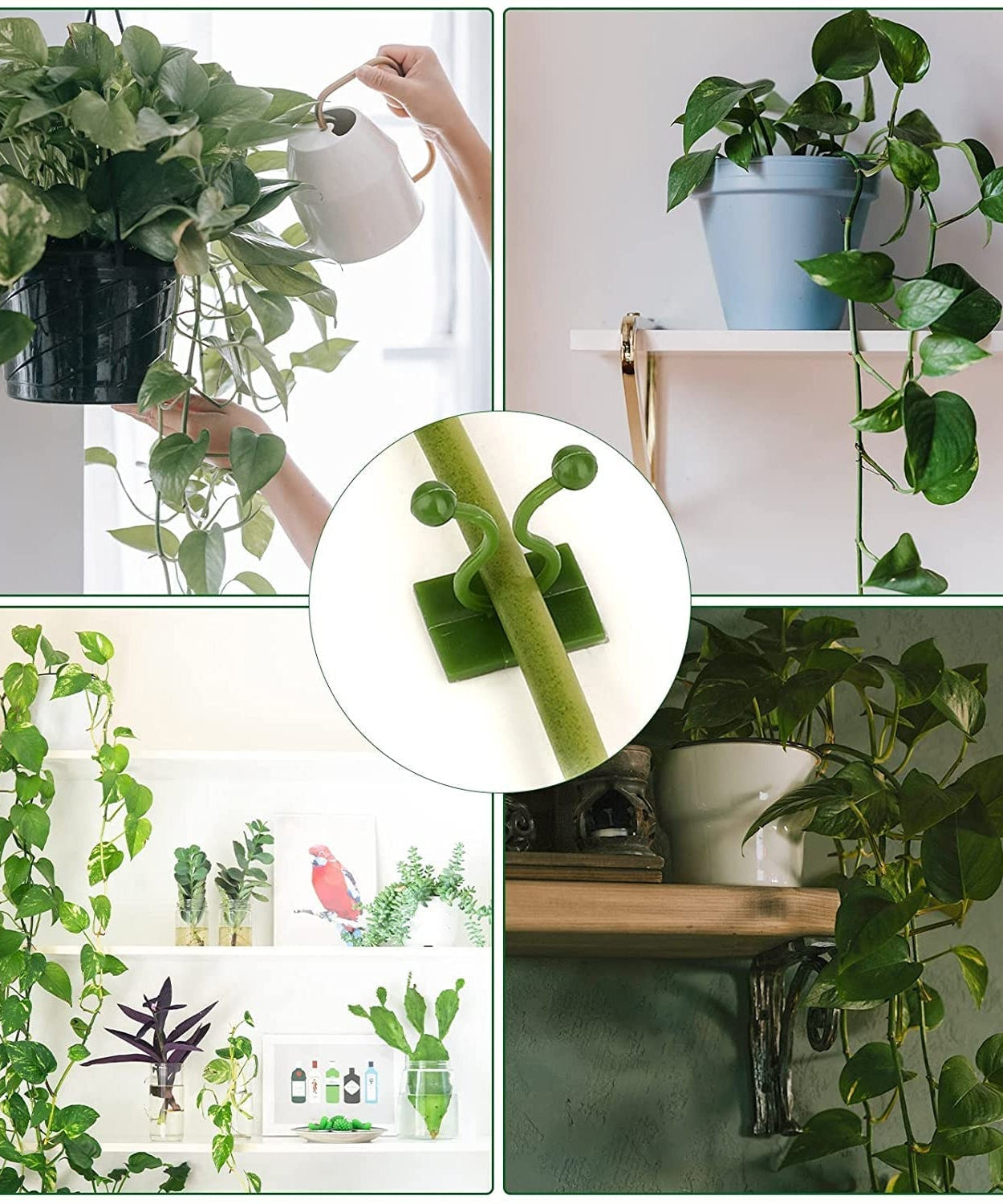 Wall plant clips, 30-pack for securing plants and other uses.