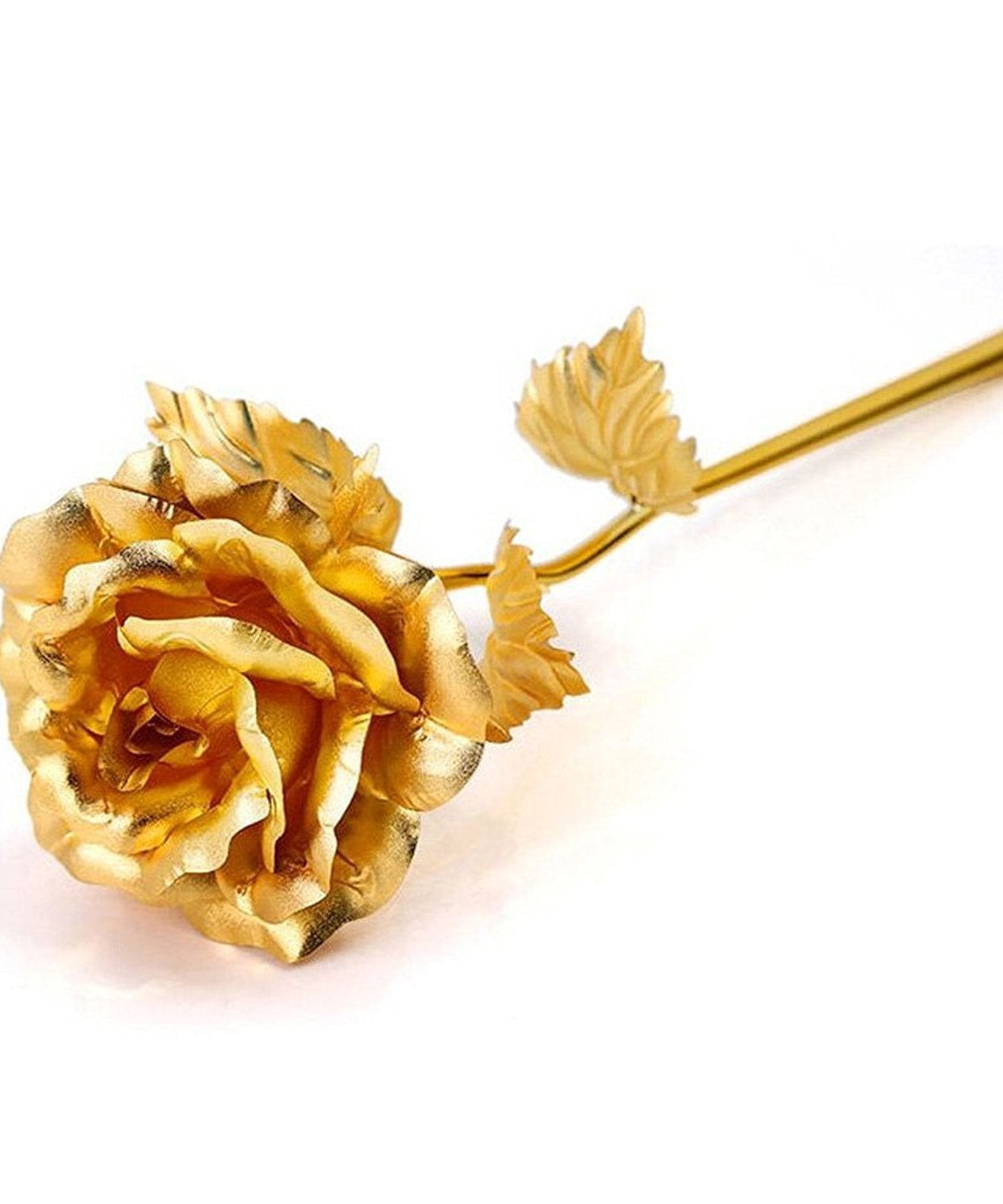 Golden rose for cafes and offices