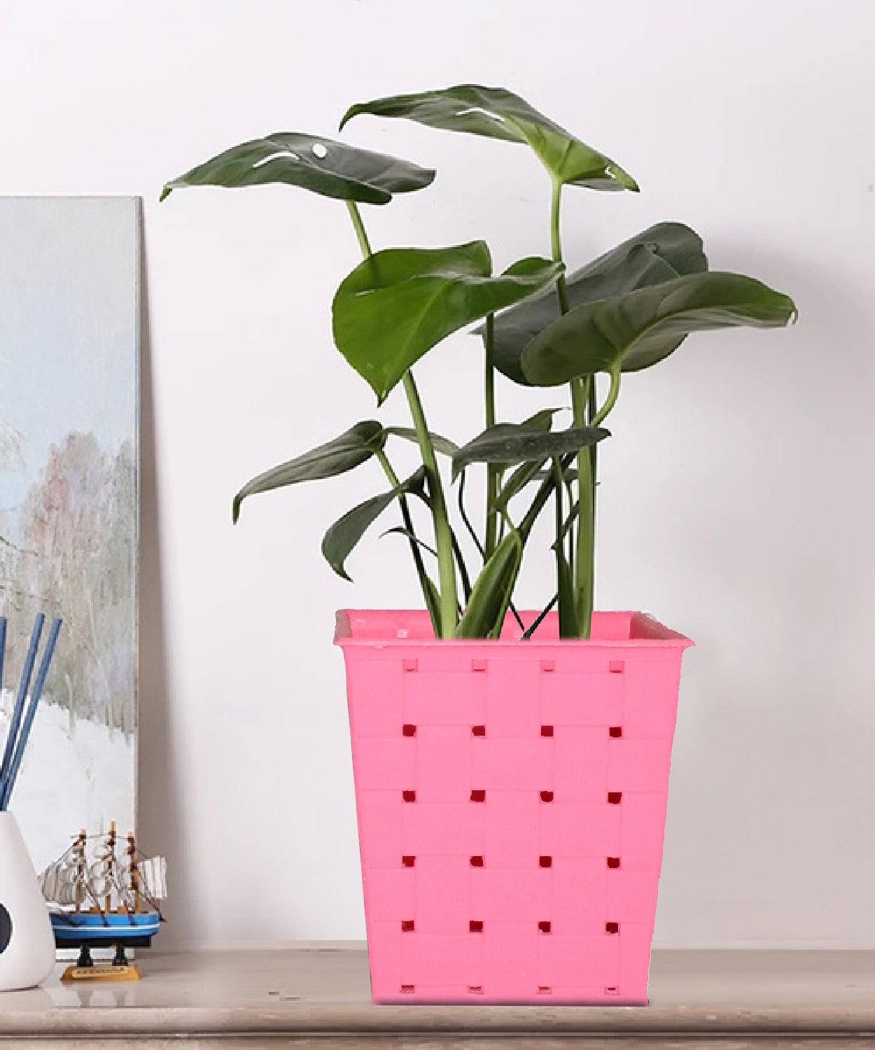 Square dotted planters, perfect for single plants on railings.