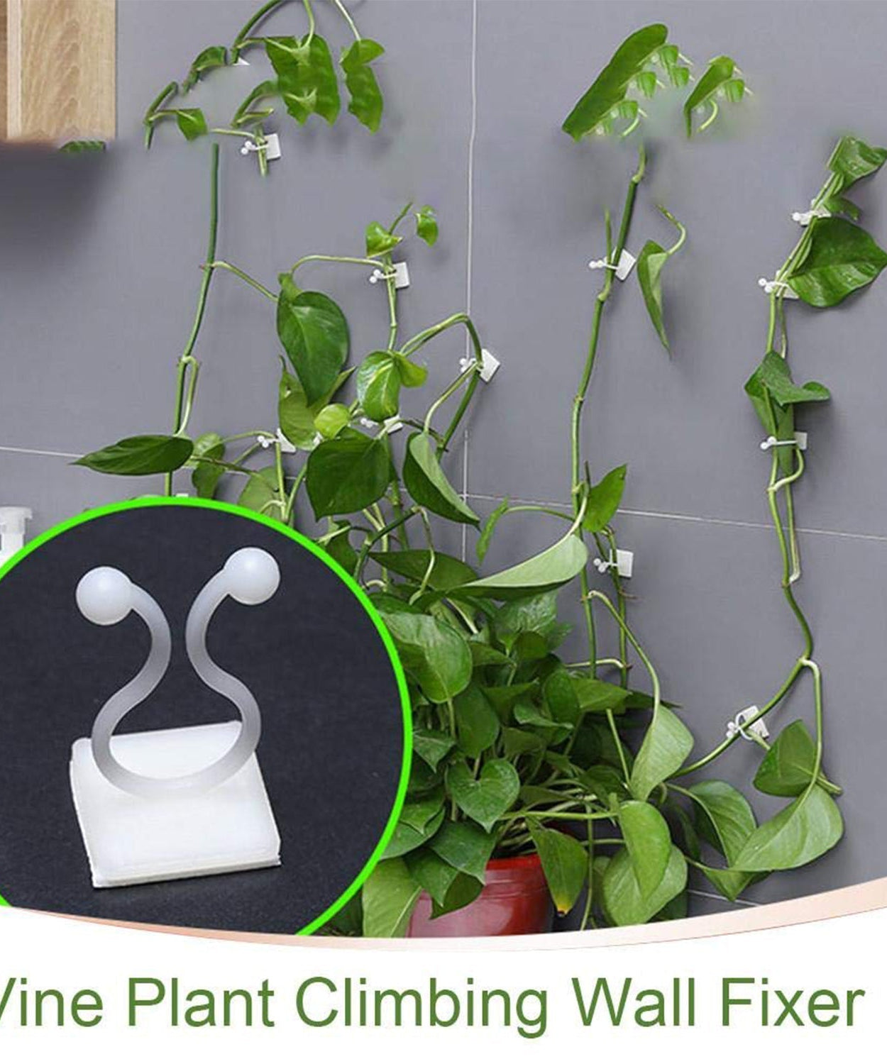 Versatile plant clips for guiding indoor and outdoor climbing plants