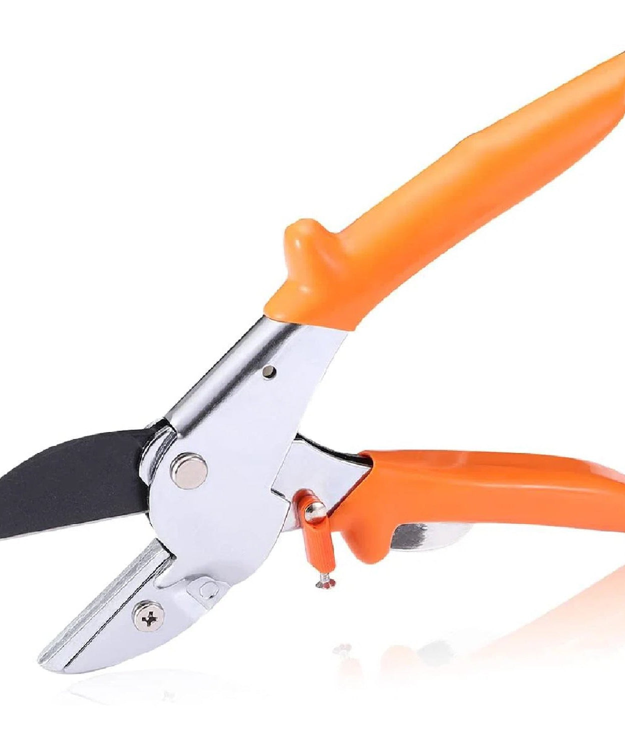 Professional scissors for gardening