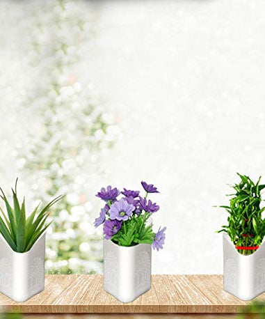 Multicolor vertical planter, easy to hang on walls.