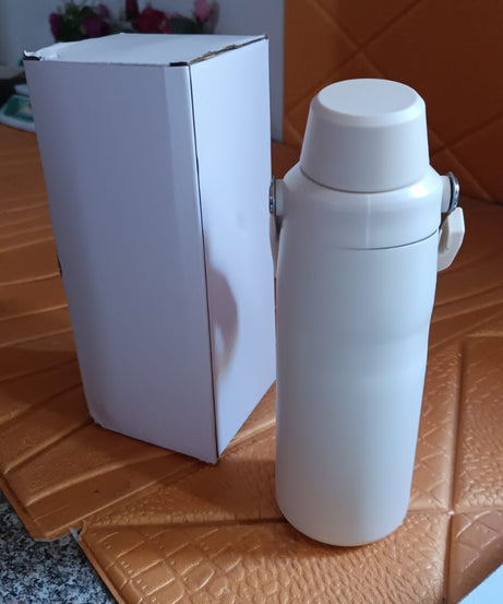 Insulated Stainless Steel Water Bottle (500 ML)