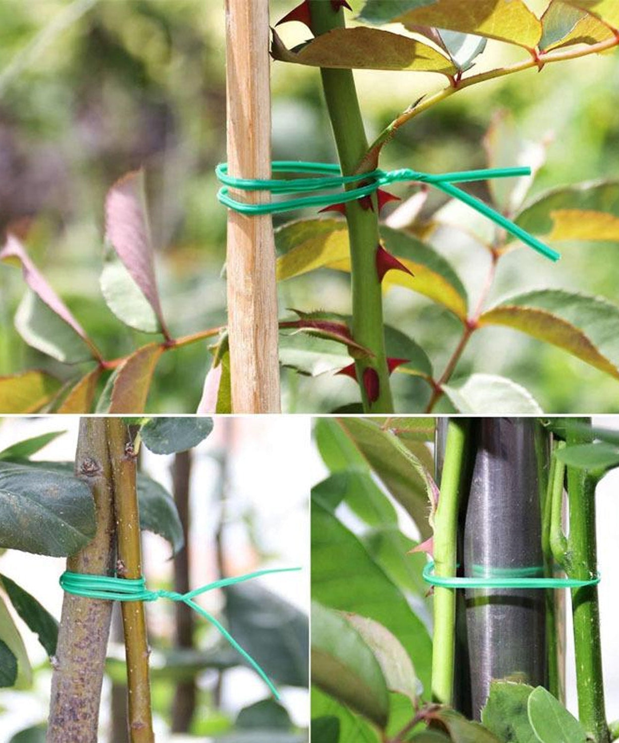 Green plastic twist tie with cutter for garden use, 50 meters.