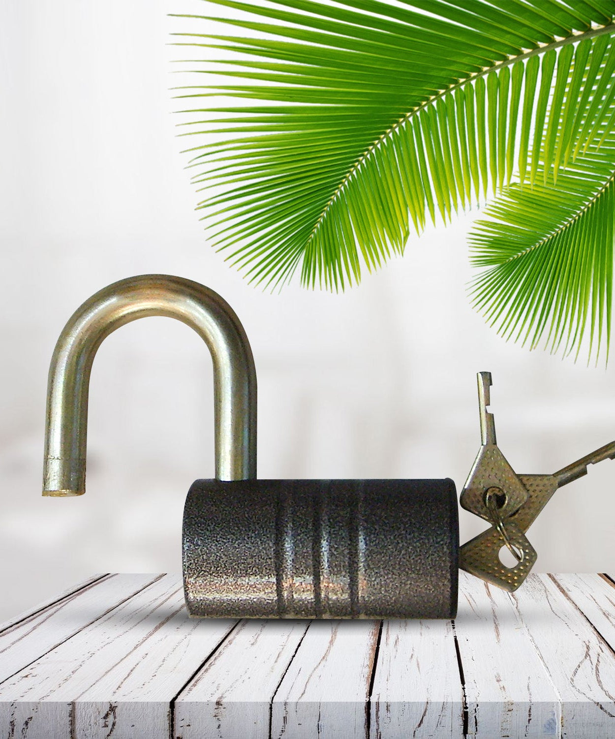 Heavy-Duty Iron Padlock – 82mm Black Spray Lock with Brass Core & 5 Keys, Waterproof & Anti-Theft