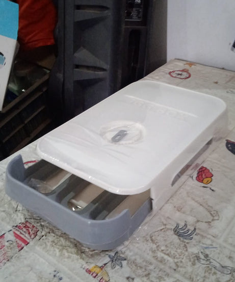 Egg Storage Box Plastic Egg Drawer Fridge Egg Organizer Egg Keeper Refrigerator Egg Drawer Plastic Egg Carton Covered Egg Holder Pantry Egg Bin Household Egg Tray (1 Pc)